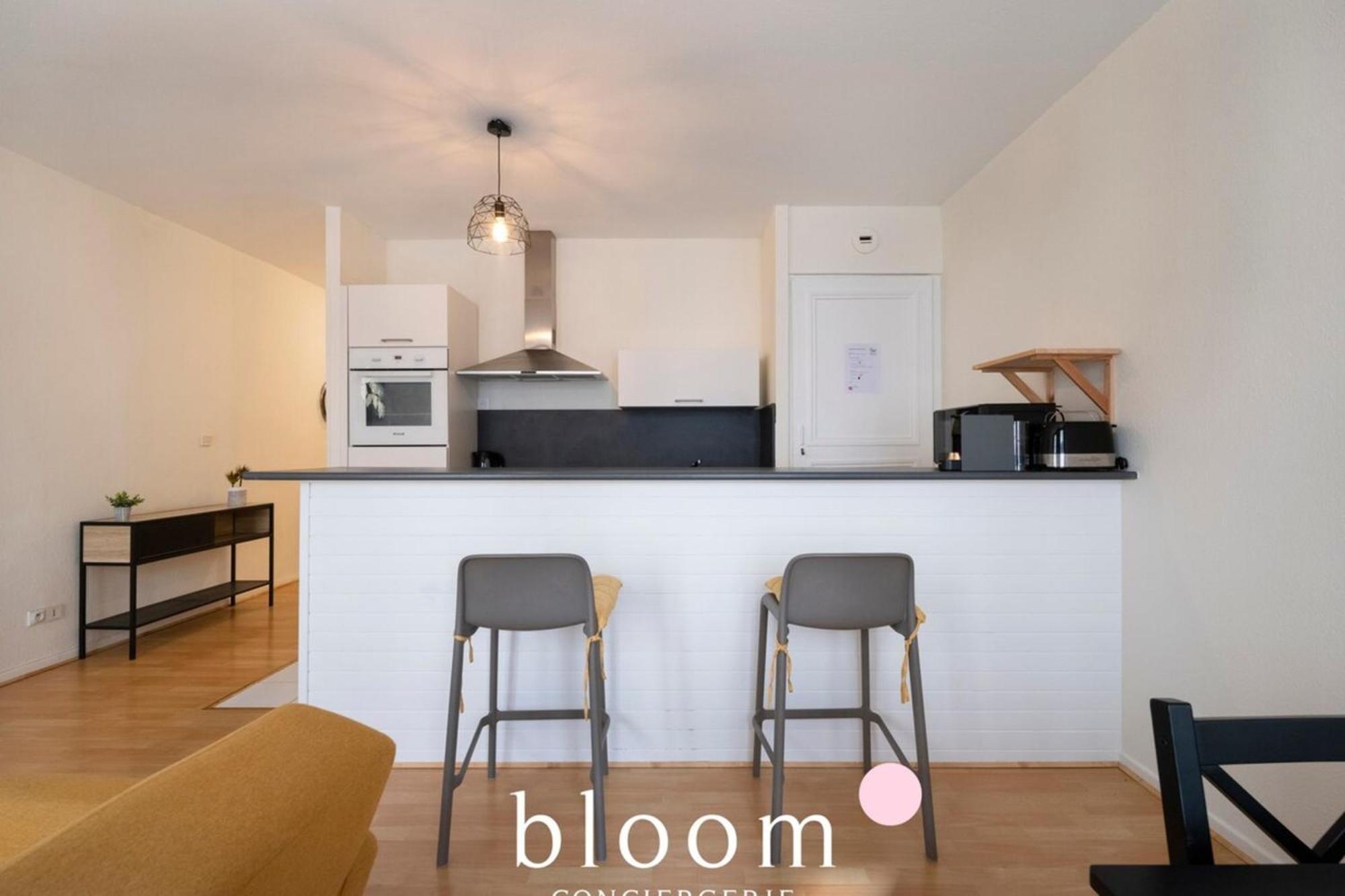 Place Stanislas 65m2 Equipe Apartment